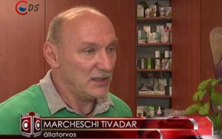 Embedded thumbnail for Nem csak az emberekre veszélyes a hőség