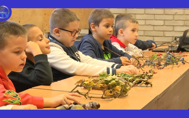 Embedded thumbnail for DSTV: az erdőről az Arany János iskolában