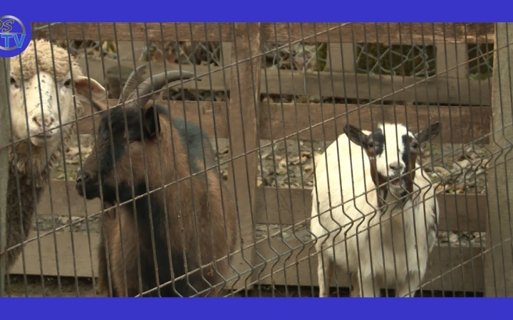 Embedded thumbnail for DSTV: érdekes év az arborétumban