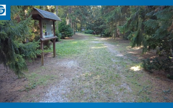 Embedded thumbnail for DSTV: megújul az arborétum