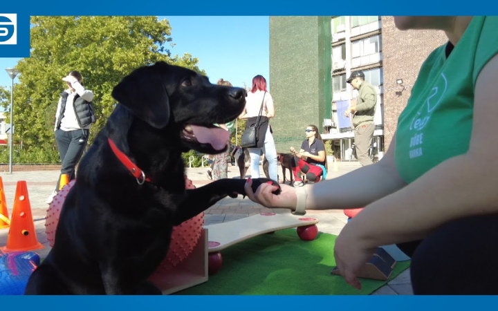 Embedded thumbnail for Szép születésnap a Városháza téren (galériával)