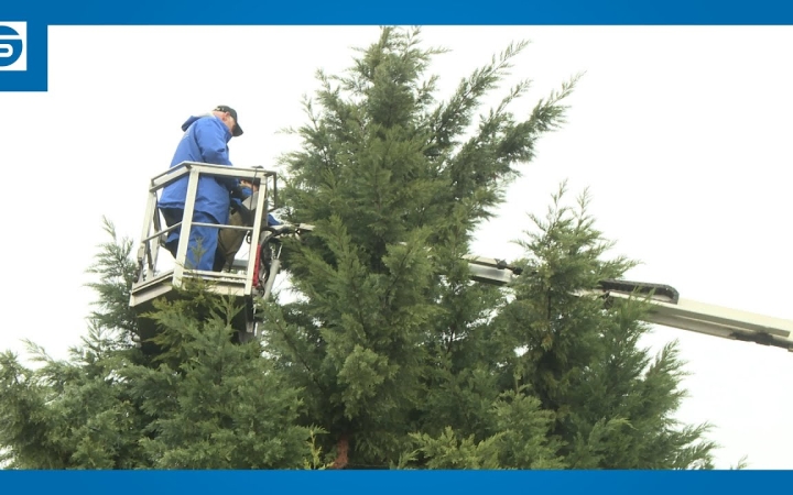 Embedded thumbnail for Ünnepi díszben az Újtelep fenyőfája