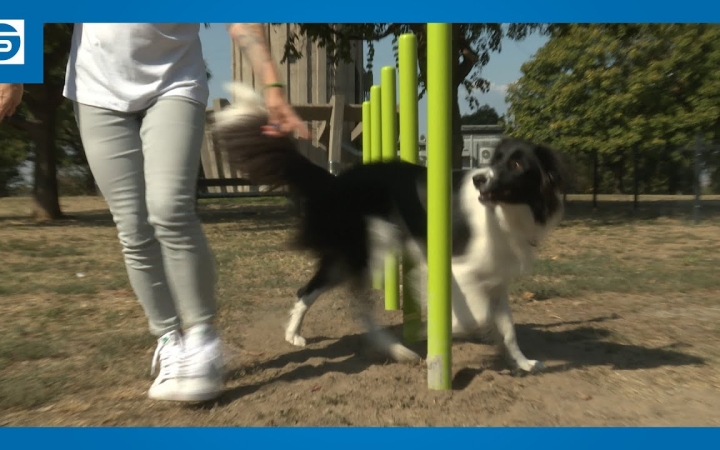 Embedded thumbnail for Elkészült a város legnagyobb kutyafuttatója