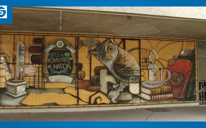 Embedded thumbnail for DSTV: gazdag kínálat a könyvtári napokon – ma még tart!