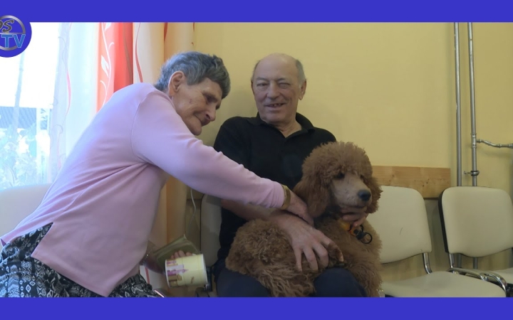 Embedded thumbnail for DSTV: kutyusokkal a kórházban