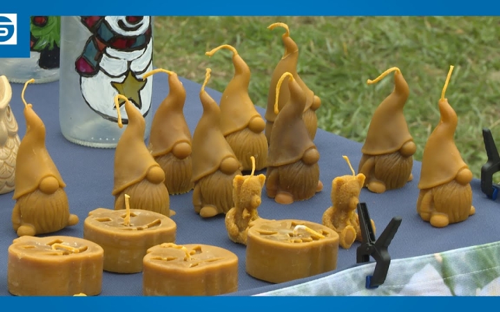 Embedded thumbnail for DSTV: őszi kincses kavalkád a Szalki-szigeten (galériával)