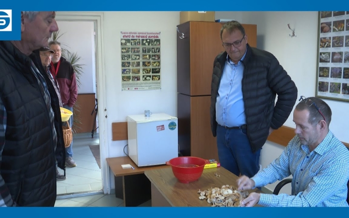 Embedded thumbnail for DSTV: új helyen, de üzemel a gombavizsgálat