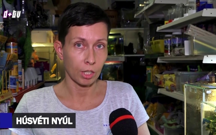 Embedded thumbnail for D+ Híradó - Várólista, feltámadás