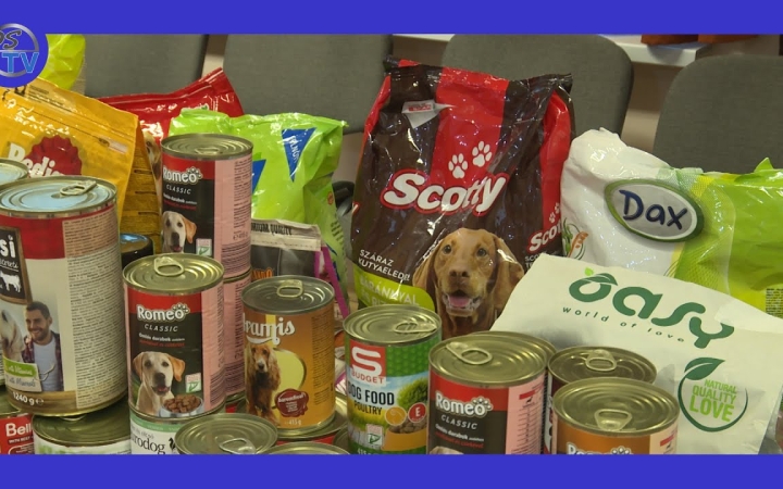 Embedded thumbnail for Állatok karácsonya – köszönet az ovisoknak