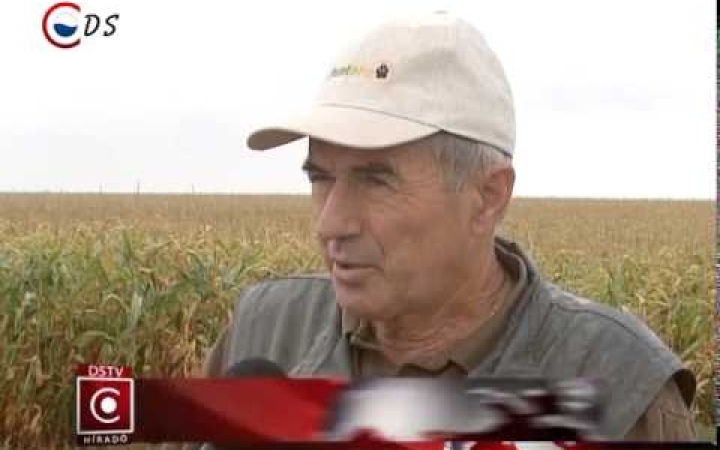 Embedded thumbnail for Volt, aki örült a sok csapadéknak