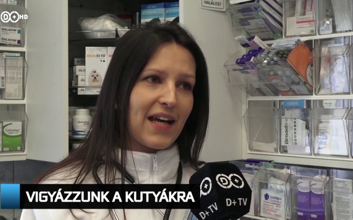 Embedded thumbnail for D+ Híradó: újítások, bajnokság a strandon