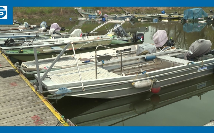 Embedded thumbnail for DSTV: a halszaporulat érdekében