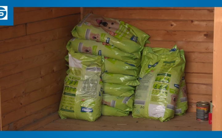 Embedded thumbnail for Folytatódik a jeles szilveszteri akció: kutyatápot vegyenek, ne petárdát!