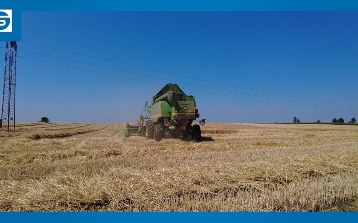 Embedded thumbnail for DSTV: javában tart már az aratás