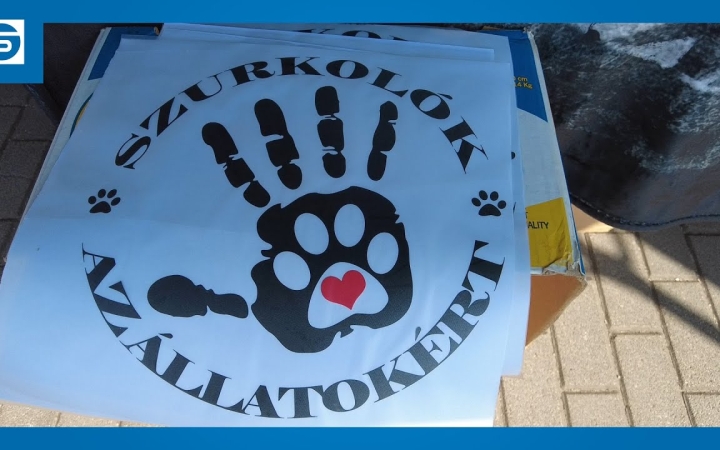 Embedded thumbnail for DSTV: sikeres adománygyűjtés