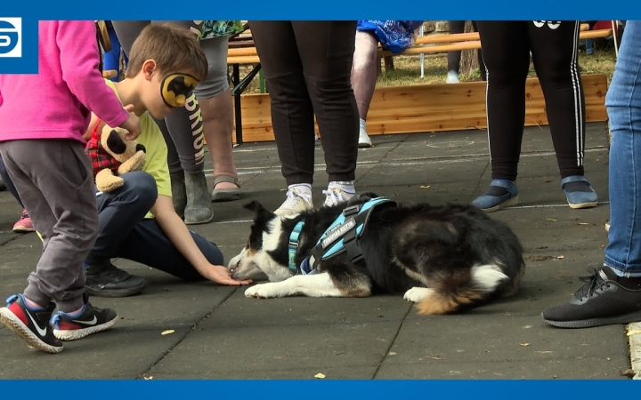 Embedded thumbnail for Színes, mozgalmas, kalandos Játékfesztivál (galériával)