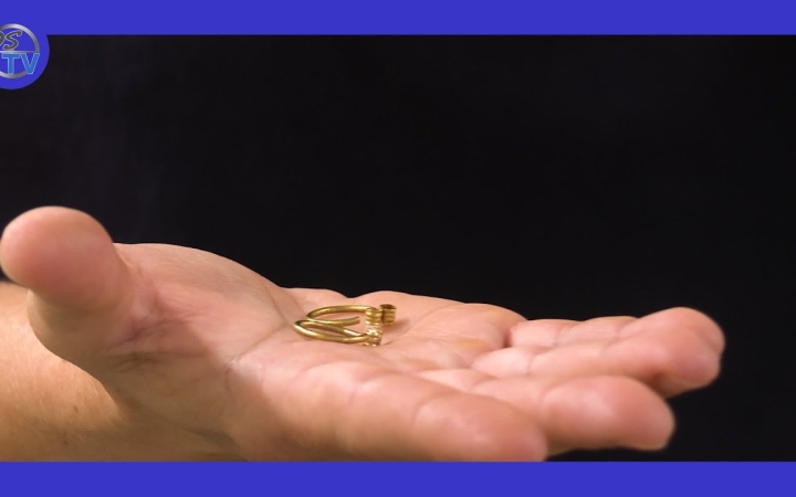 Embedded thumbnail for DSTV: hajkarika a hónap műtárgya