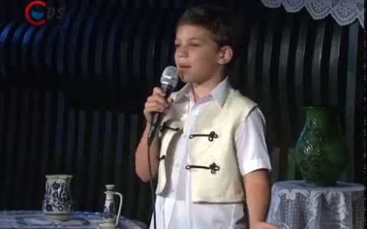 Embedded thumbnail for Főszerepben a tehetségek - Dunán innen, Tiszán túl