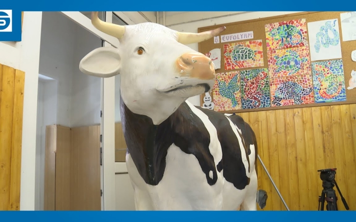 Embedded thumbnail for DSTV: élet, erő, egészség a Vasváriban