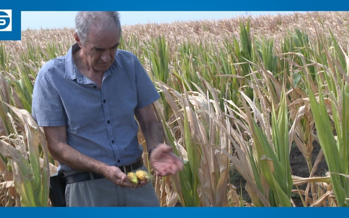 Embedded thumbnail for DSTV: folyamatos az áremelkedés