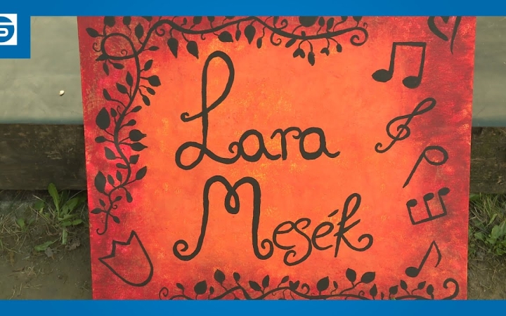 Embedded thumbnail for DSTV: zenés búcsú a tábortól