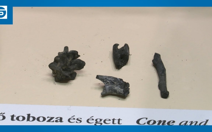 Embedded thumbnail for DSTV: "mesélő tobozok" a múzeumban