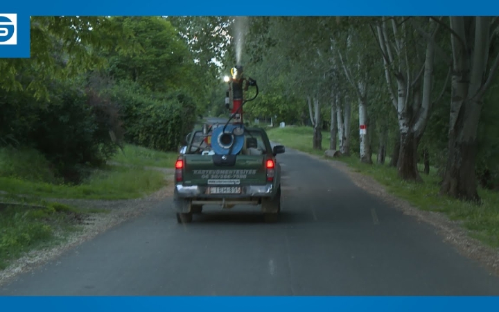 Embedded thumbnail for DSTV: szúnyoggyérítés a városban