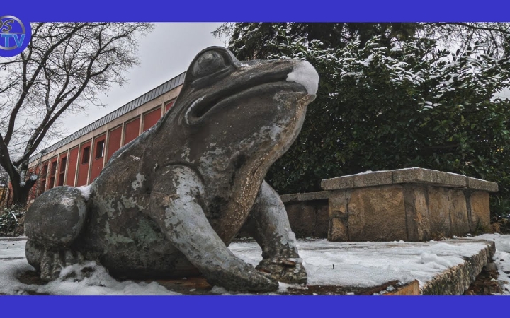 Embedded thumbnail for DSTV: a város – fotósszemmel