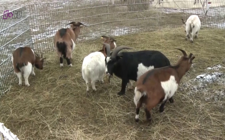 Embedded thumbnail for A nap legfontosabb eseményei - D+ TV Híradó