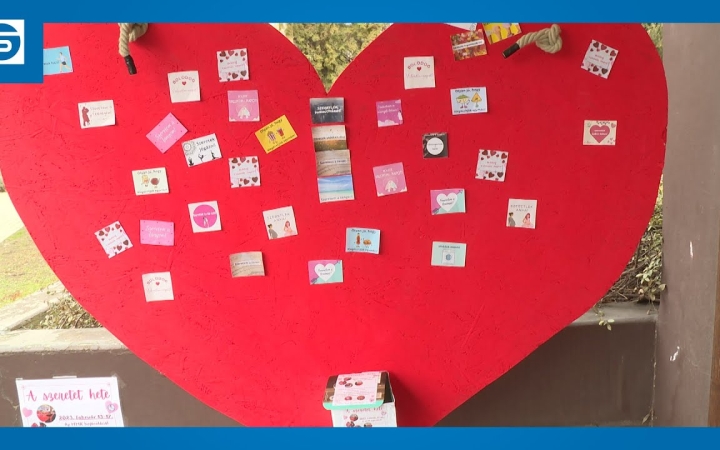 Embedded thumbnail for DSTV: a nagy szív a szeretet hetében az MMK előtt