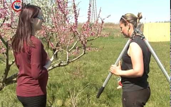 Embedded thumbnail for Tavaszi munkák a gyümölcsösökben