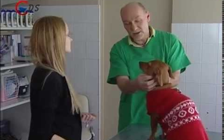 Embedded thumbnail for Vigyázzunk az ebekre