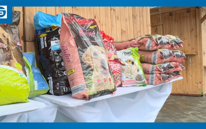 Embedded thumbnail for Adománygyűjtés – most a hontalan négylábúak javára