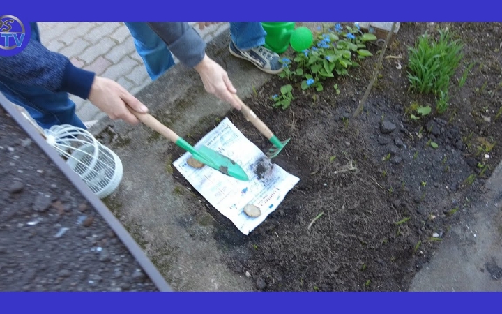 Embedded thumbnail for Tovább színesedett az ÖKO-nap Újtelepen