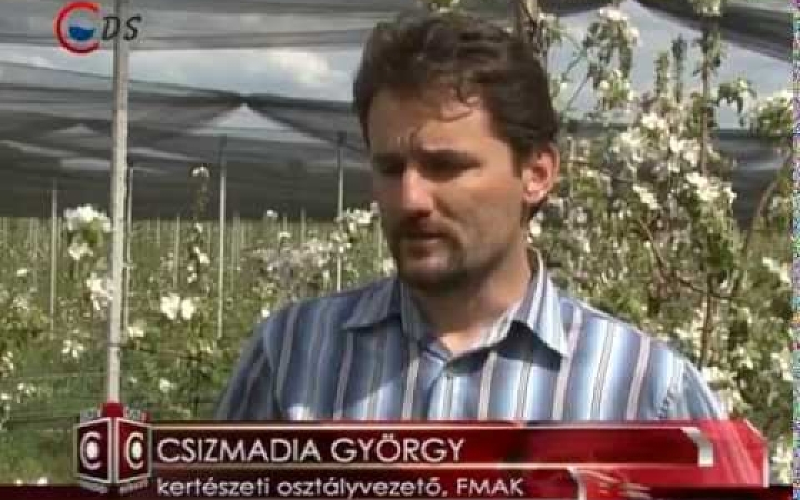 Embedded thumbnail for "Minden nap egy alma, és a doktor alma"