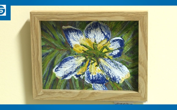 Embedded thumbnail for DSTV: "Tűzzel festve" az MMK-ban