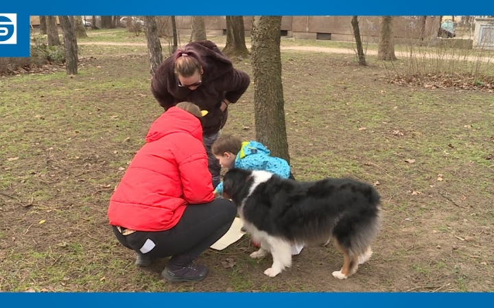 Embedded thumbnail for DSTV: kutyás farsang a Petőfi ligetben (galériával)