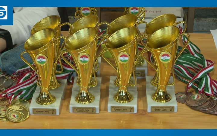 Embedded thumbnail for DSTV: lábtoll-labda a Gárdonyiban