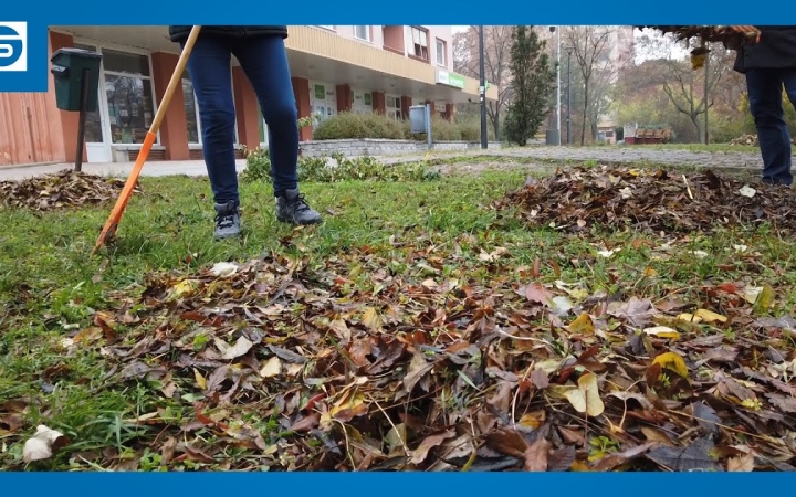 Embedded thumbnail for Közösségi falevélszedést szerveznek – csatlakozókat várnak!