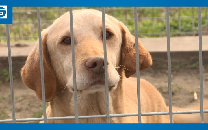 Embedded thumbnail for DSTV: az ebtelep öregjei