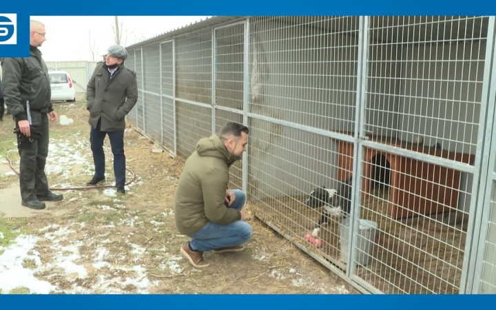 Embedded thumbnail for Polgármesteri vizit az ebrendészeti telepen