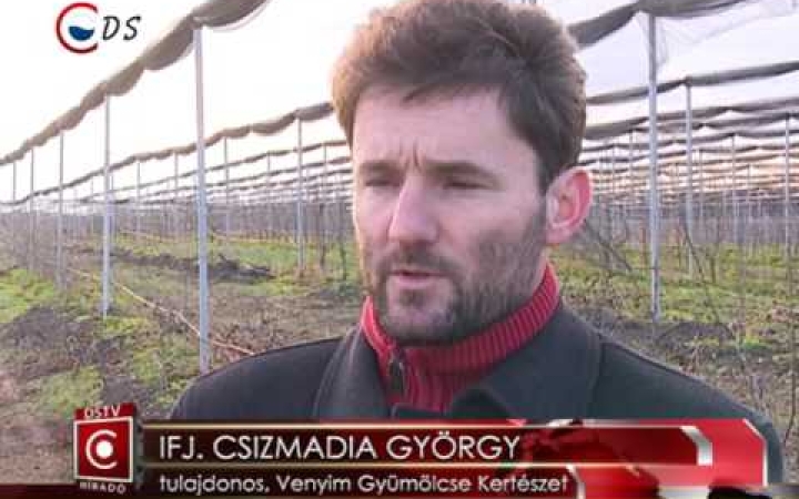 Embedded thumbnail for Kemény évet zártak a kertészetek