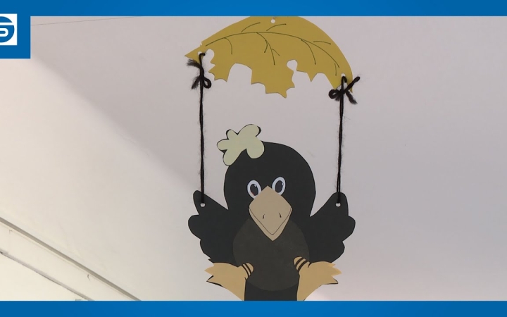 Embedded thumbnail for DSTV: tanévkezdés előtt "Csibe napok"