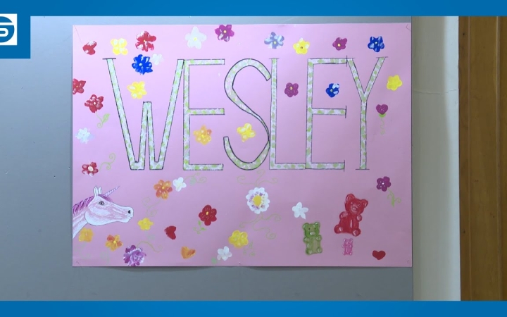 Embedded thumbnail for DSTV: folyamatosan fejlődtek a Wesley Da Capo növendékei