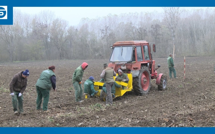 Embedded thumbnail for Folytatódott az erdősítés (galériával)