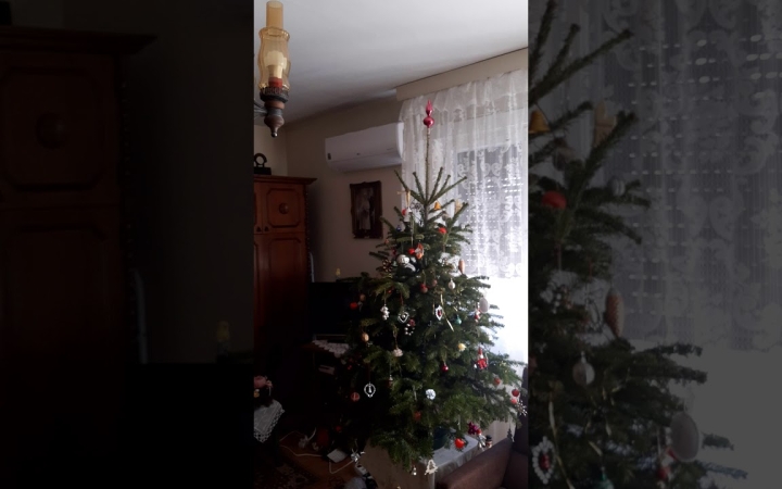 Embedded thumbnail for Földrengés volt, kétségtelen (online)