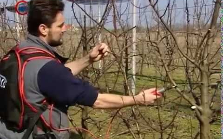 Embedded thumbnail for Tavaszi munkák a földeken