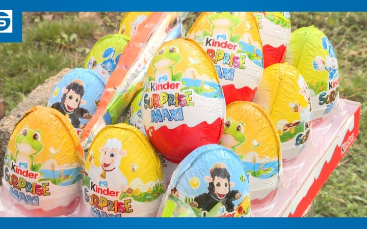 Embedded thumbnail for DSTV: tojásvadászat a segítő szolgálatnál