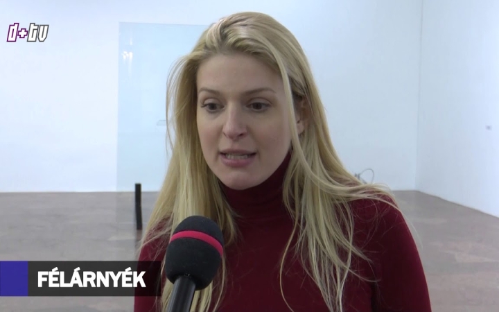 Embedded thumbnail for D+ Híradó - Kiállítás, versek