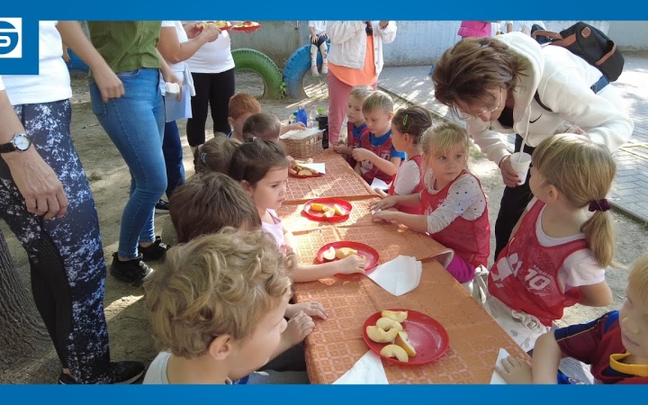 Embedded thumbnail for DSTV: a gyermekkori traumák